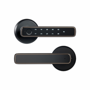 Cerradura Digital Inteligente Wifi ARGOS